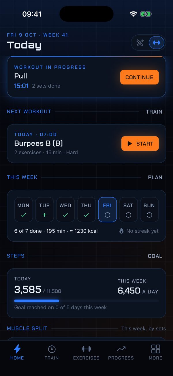 Fitness home: the workout in progress, the next workout, this week and steps